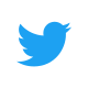 Twitter_Logo_Blue_80